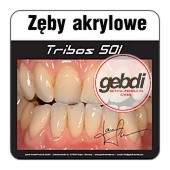 Zby akrylowe trzywarstwowe TRIBOS 501